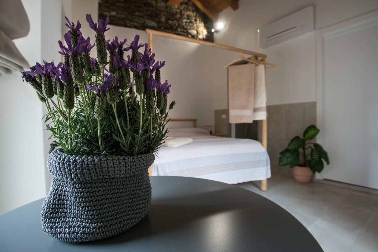 Guest House Seme Di Faggio Miasino Zewnętrze zdjęcie