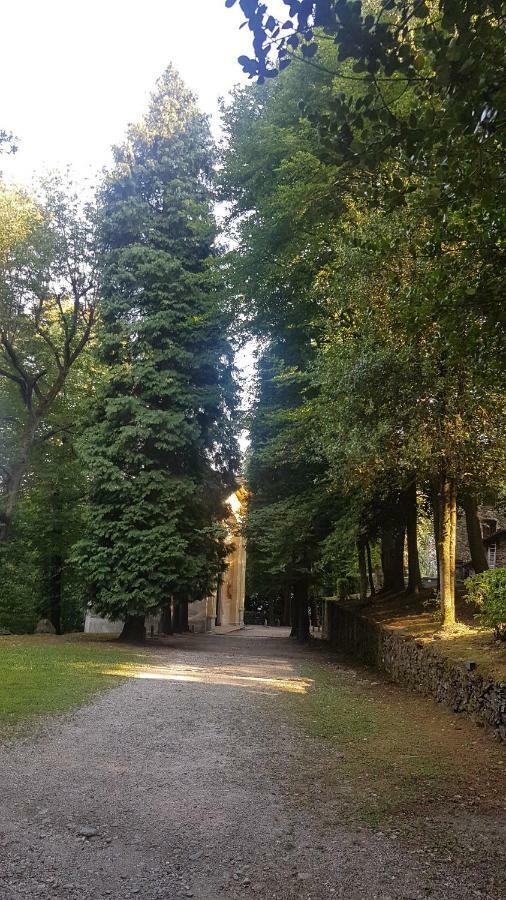 Guest House Seme Di Faggio Miasino Zewnętrze zdjęcie
