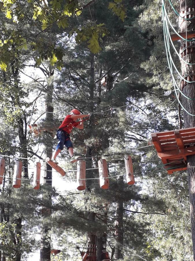 Guest House Seme Di Faggio Miasino Zewnętrze zdjęcie